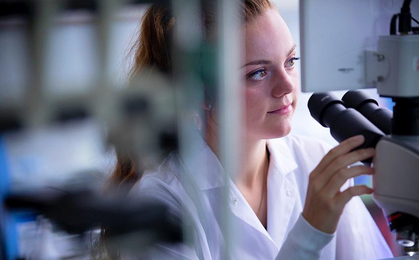 au sc academics arts science