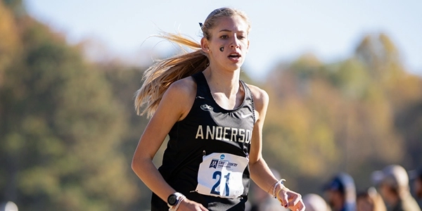 TAFSiteCoverPhotos20248