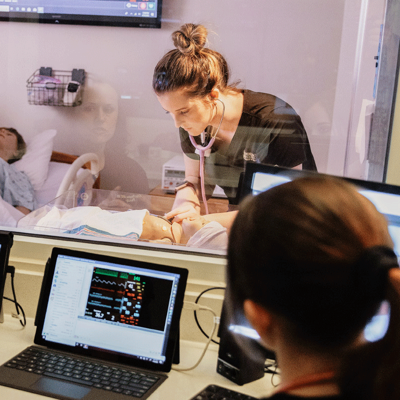 school of nursing traditional