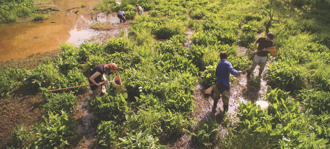 rocky river nature park students exploring