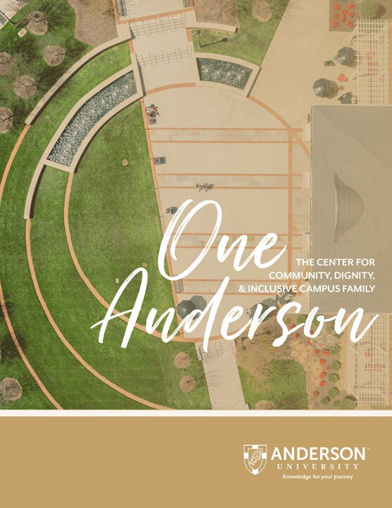One Anderson pdf
