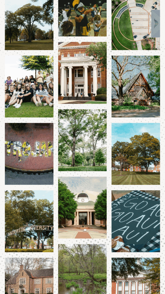 Rewind and Find Concept 01