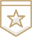 Golden badge with a star inside icon